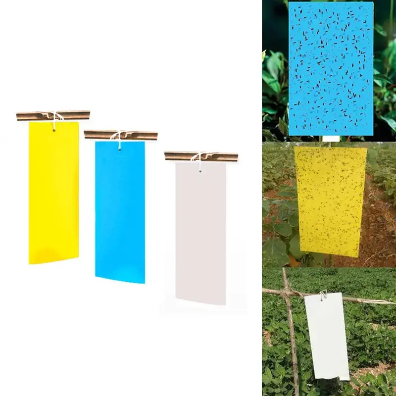 Stick-a-Fly Sticky Trap 11 cm x 28 cm(Color-White,Quantity-30 Pieces) Express Delivery